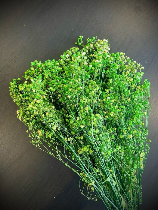 Сухи цветя за аранжиране