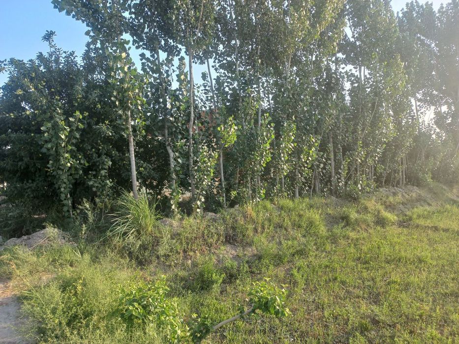 Eр участка  сотилади