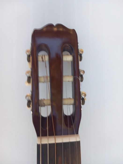 Chitara Takamine G-116