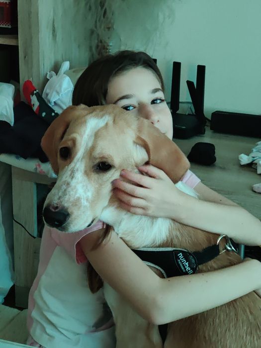 Подарявам  домашен любимец