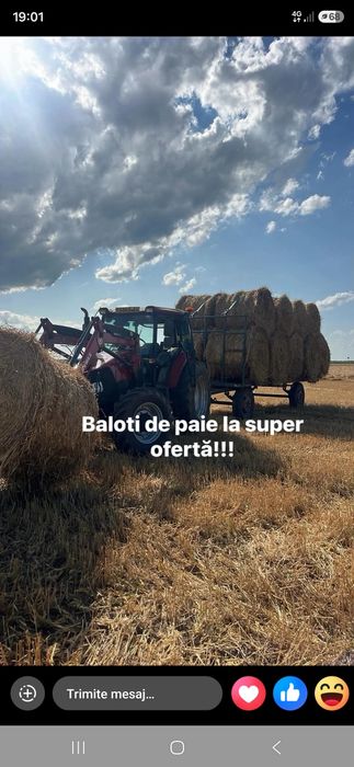 Baloți din paie grau