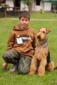 pui airedale terrier din parinti campioni