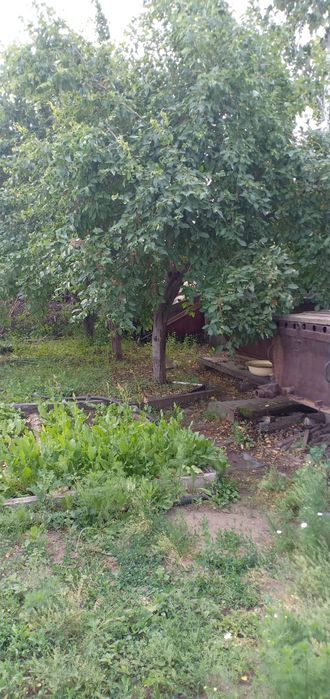 Продам дачу в Д/о Золотая осень