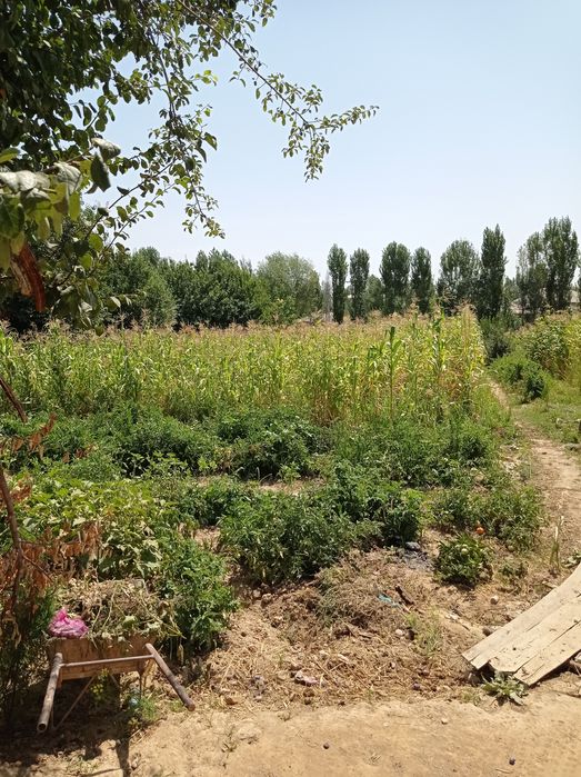 Chinozda uy sotiladi