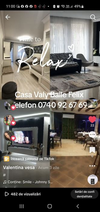 Vila de închiriat Băile Felix