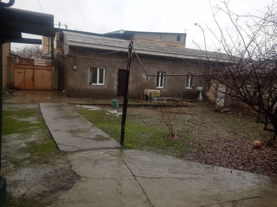 Участка ховли миробод туман