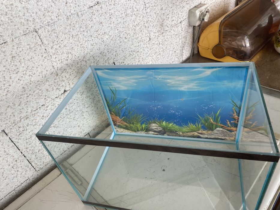 Продам аквариум срочно