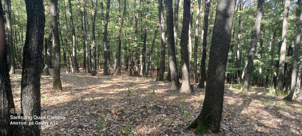 Vând teren  Podenii Noi, Magura