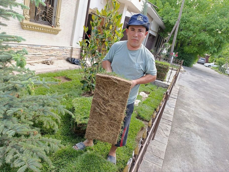 Газон екиш, арча кесиш, палиф хизмати, ландшафт , томорка ишлари