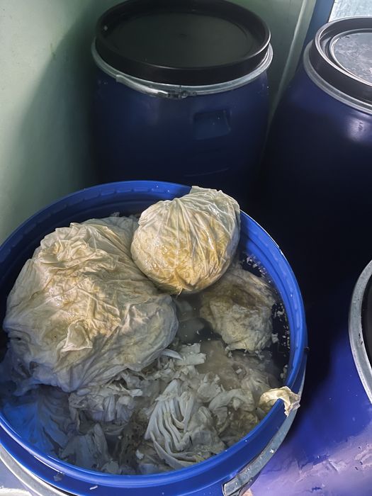 Varza murata soi “De Buzau”