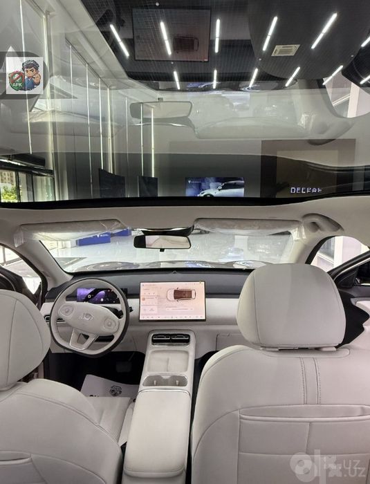 Changan nevo Q05 506 max plus electr