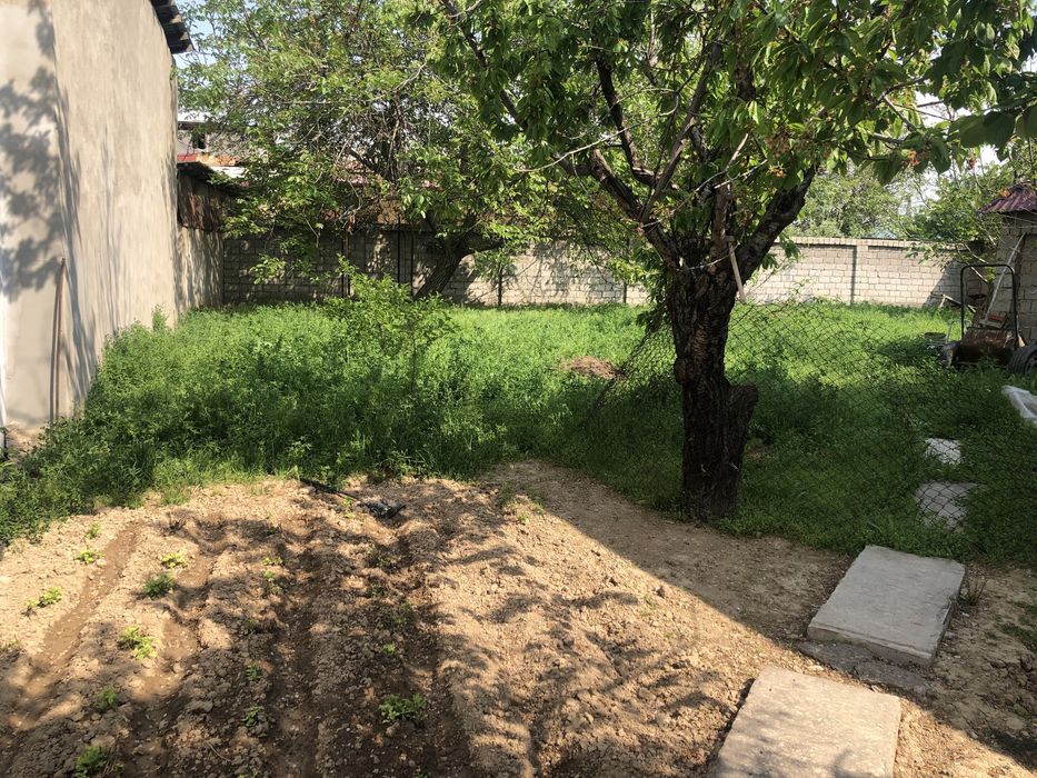 ТашРэс, улица Пахтакор 1/7. 4.5соток