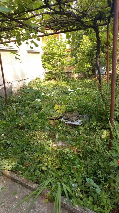 Косене ,почистване и поддържане на дворове ,лозя,ливади ,райгас