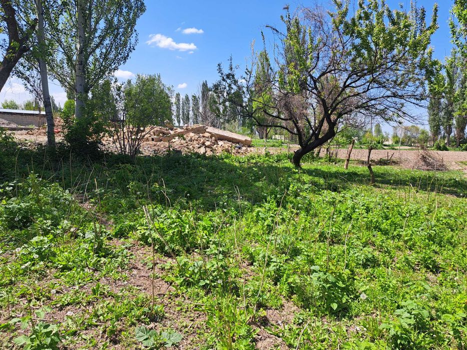 Продаётся дом в селе Гродеково.