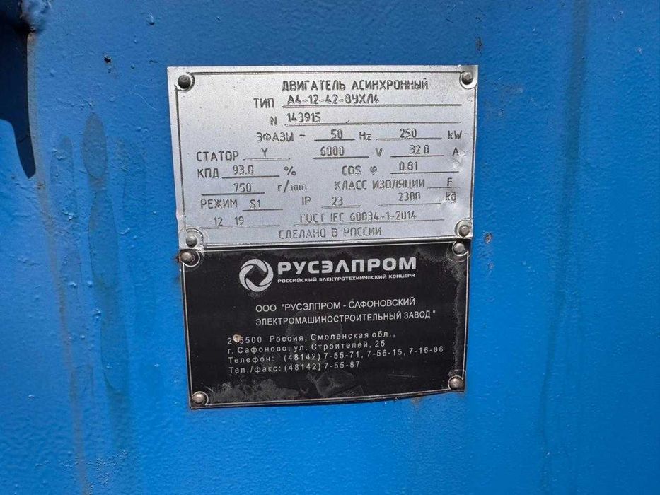 Электродвигатель А12-42-8, 250 кВт, 6000В IM1001