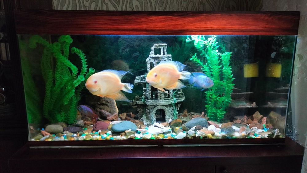 Продаётся АКВАРИУМ