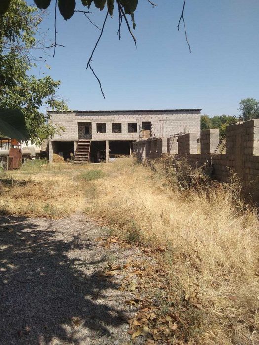 Ферма недалеко от Ташкента