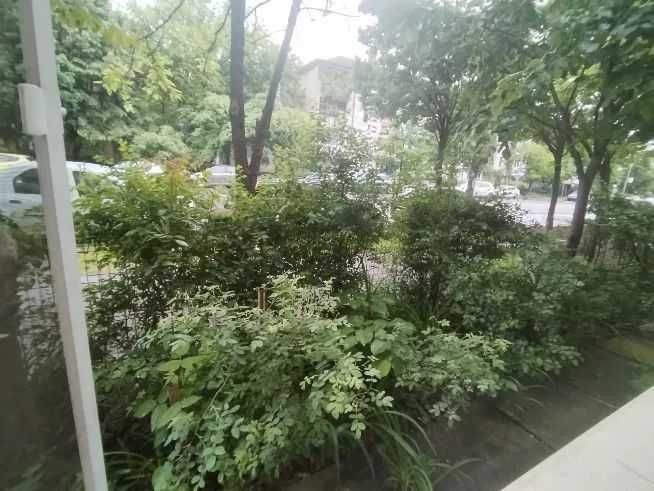 Apartament 3 camere Tudor Vladimirescu Iasi