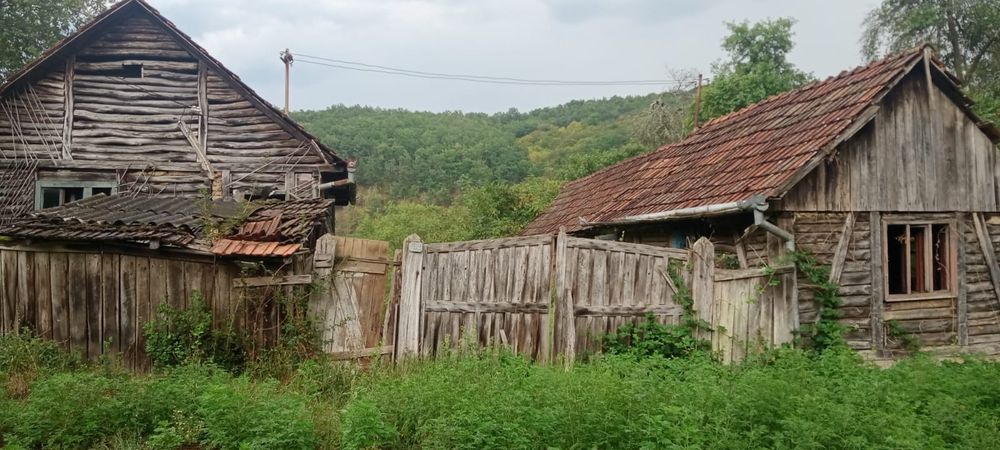 Vând casă cu grădină