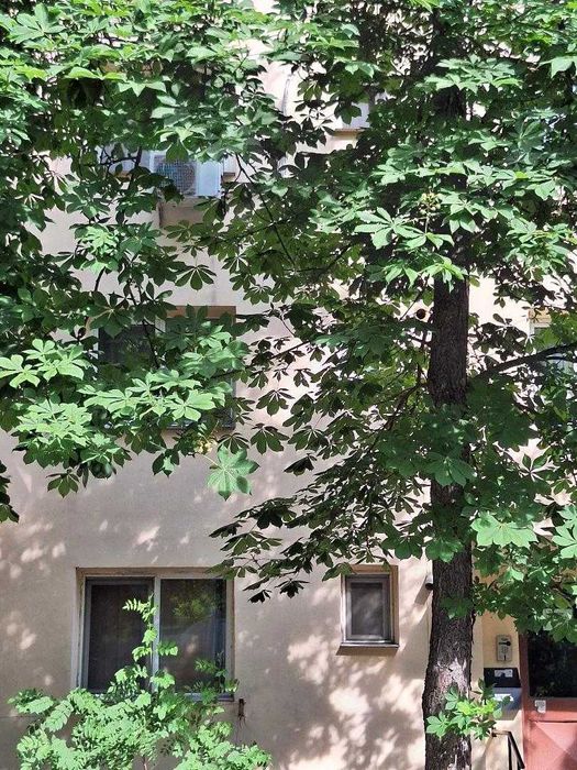 Vand apartament 2 camere Craiova, Valea Rosie, 36mp, parter, situat la 50 m de scoala si 50 m de statie autobuz