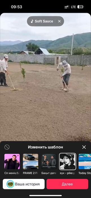 Посевной газон Под ключ