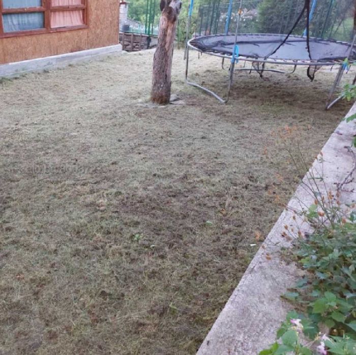 Поддръжка на тревни площи