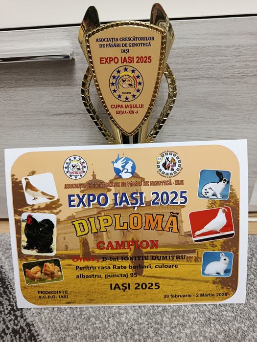 Oua rate lesesti albastre și ciocolatii