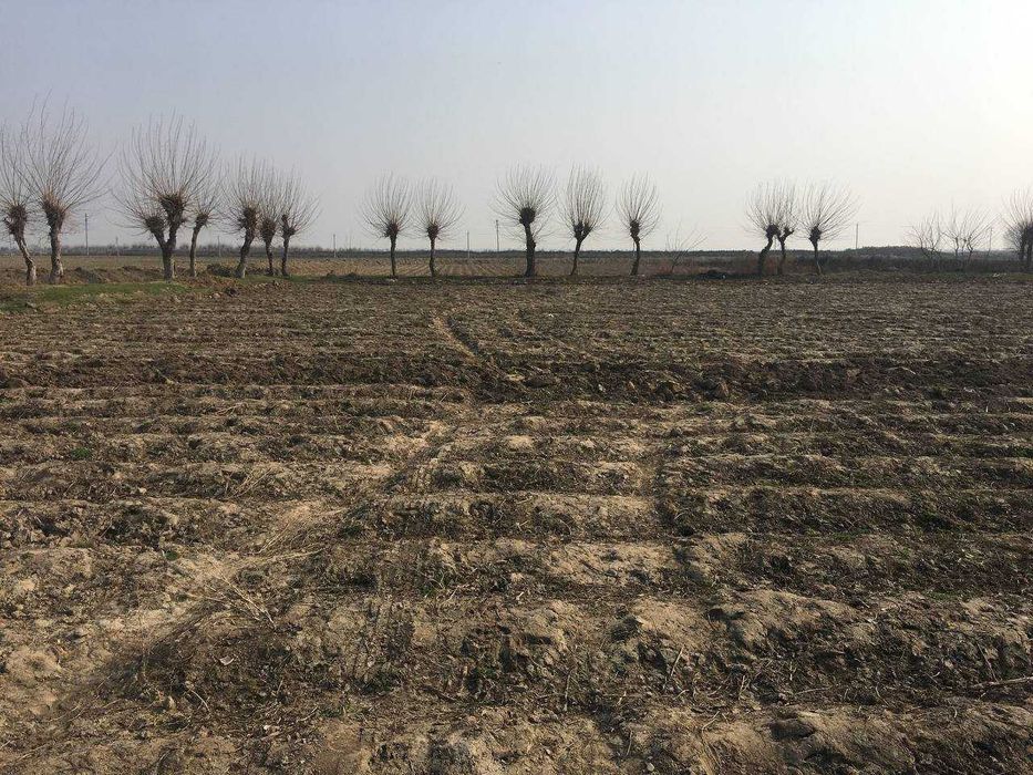 Земля более 60 соток