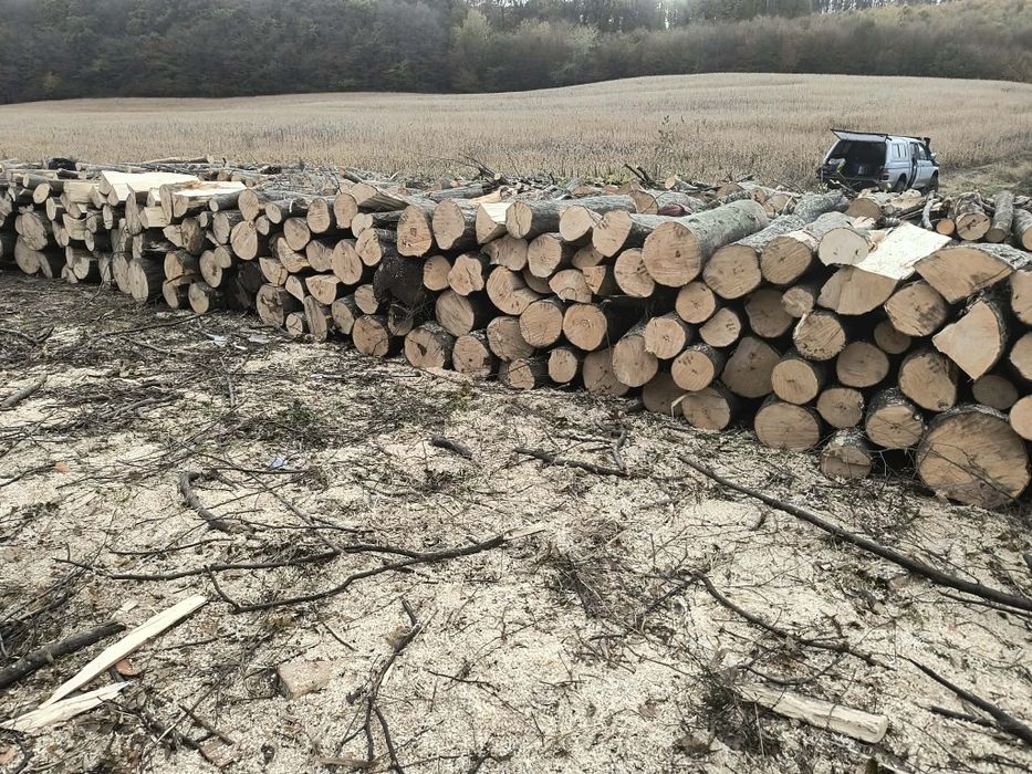 Vand lemne de foc esenta tare transport la  domiciliu