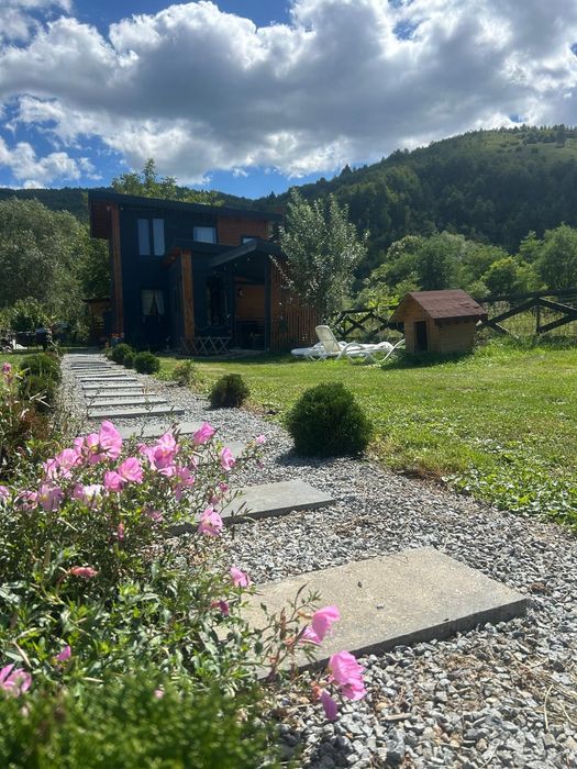 cabana  in Apuseni