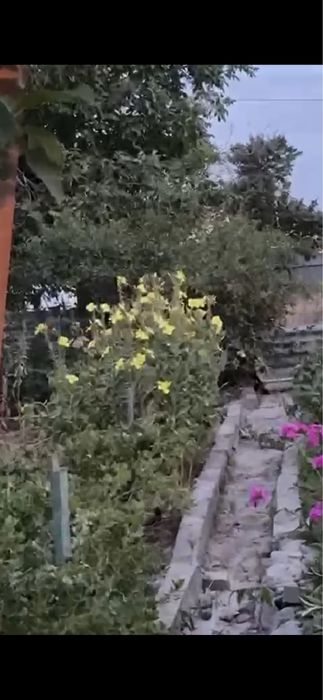 Продаю дачу 10 соток