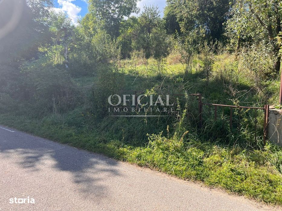 Oportunitate!!! Teren Intravilan 2771 Mp Zona Ciurila  Posibil Rate