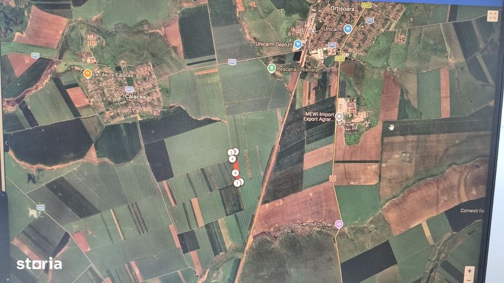 40 000 mp teren agricol, situat între Orțișoara și Carani