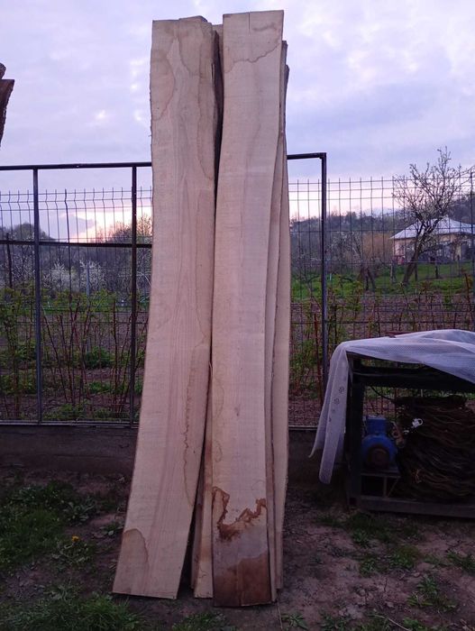 Dulapi Frasin si Nuc uscat