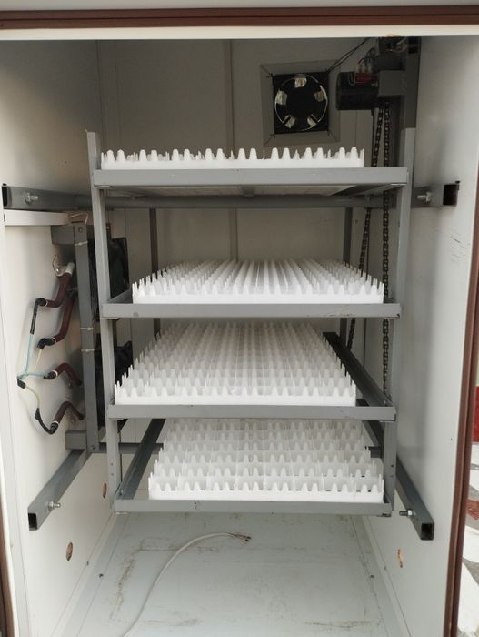 Inkubator. Инкубатор