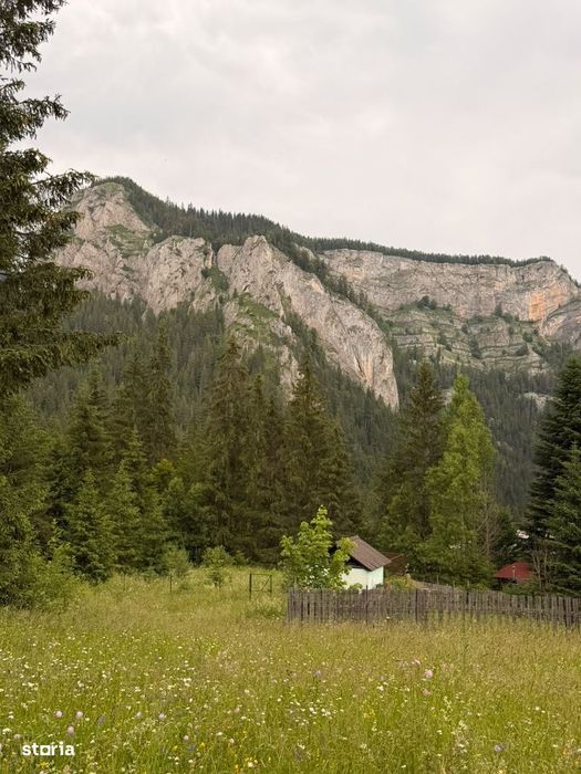 Teren intravilan de vânzare în Lacu Roșu – panoramă spectaculoasă