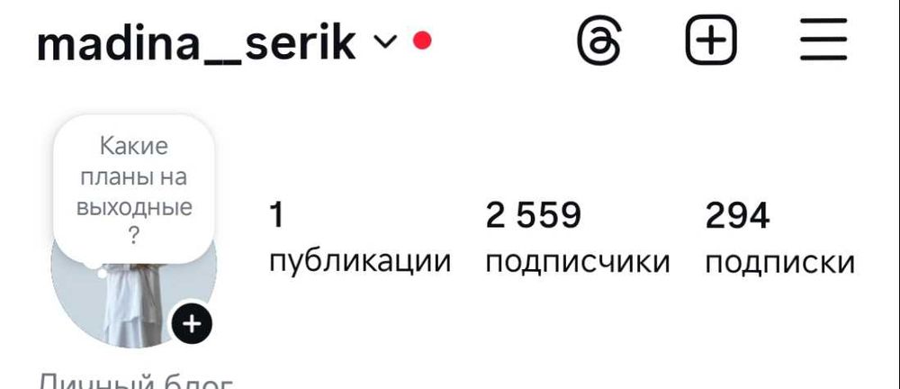 Инстаграм парақша