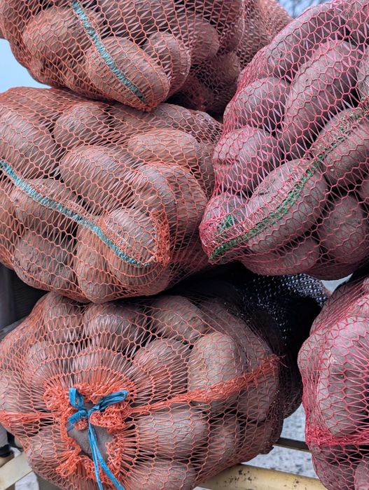 Cartofi albi si rosii Premium- direct de la producator - Bucovina