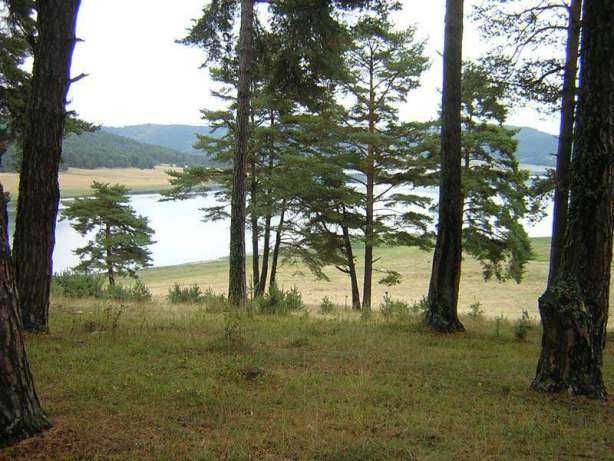 Язовир Батак/м. Костандовски Алчак/Земеделска земя/7402 кв.м