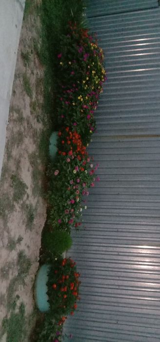 Продам дом Коккайнар, Илийский район