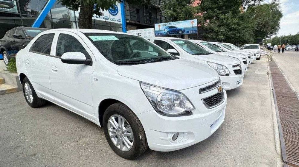 VIKUPGA Cobalt stiyle 2026