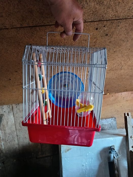Cușcă disponibil pentru amter sau porcușor  de guineea