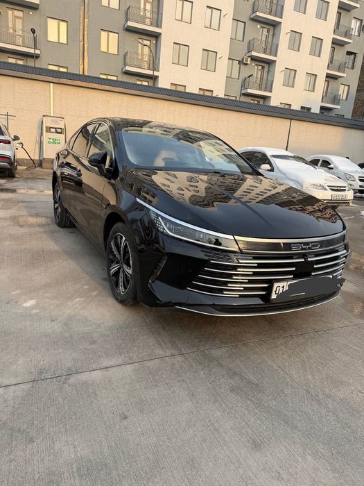 BYD chazor 120 tali ful 4pazitsa