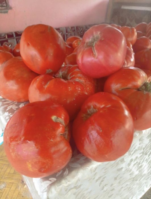 Vand rosii bio de solar