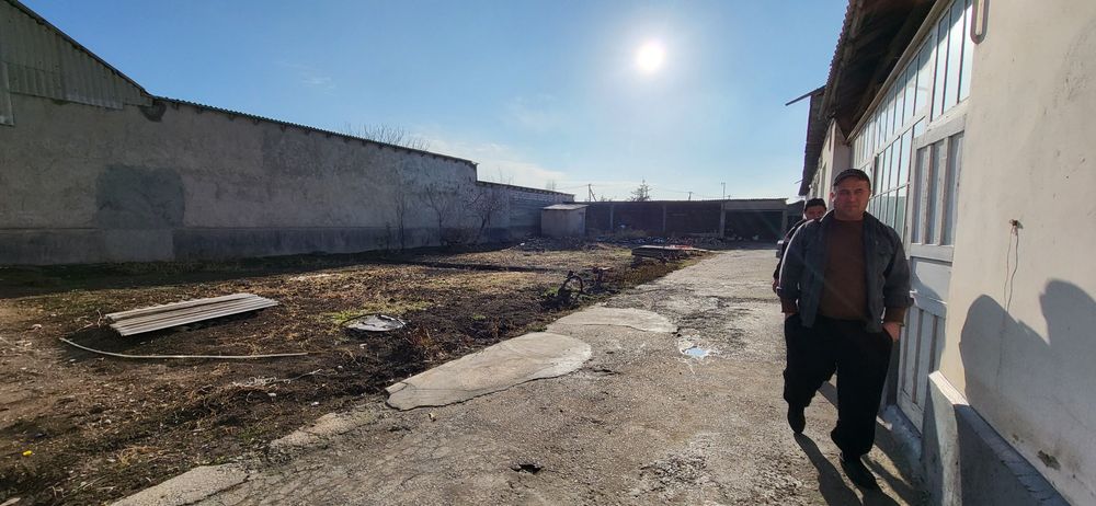 Участок  12 соток