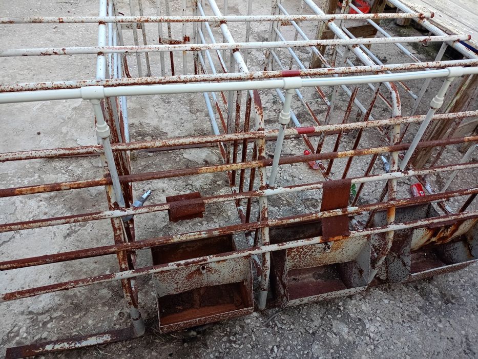 4 броя Боксове за Свине