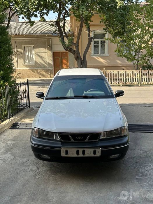Neksa 1 dons qora panfer
