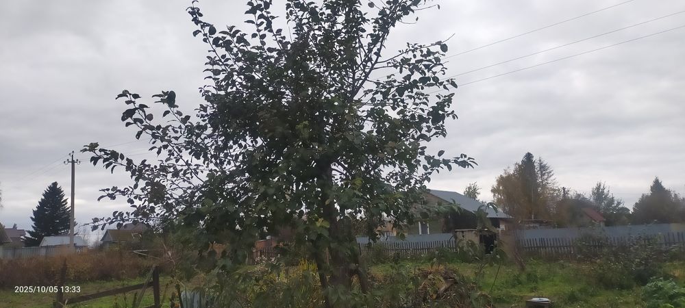 Продам дачу, речпорт.