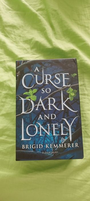 A Curse so dark and lonely by Brigid Kemmerer