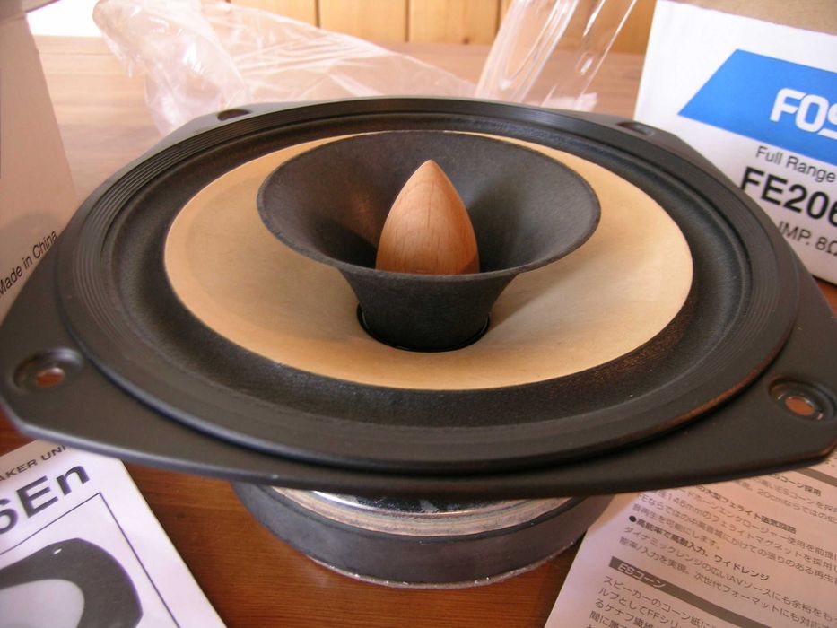 Хорни с FOSTEX FE206En